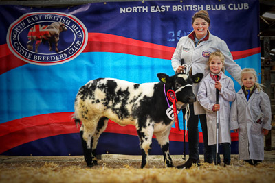 Class 2 - Johnson - JRJ Wispa2